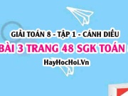 Giải bài 3 trang 48 Toán 8 Tập 1 SGK Cánh Diều